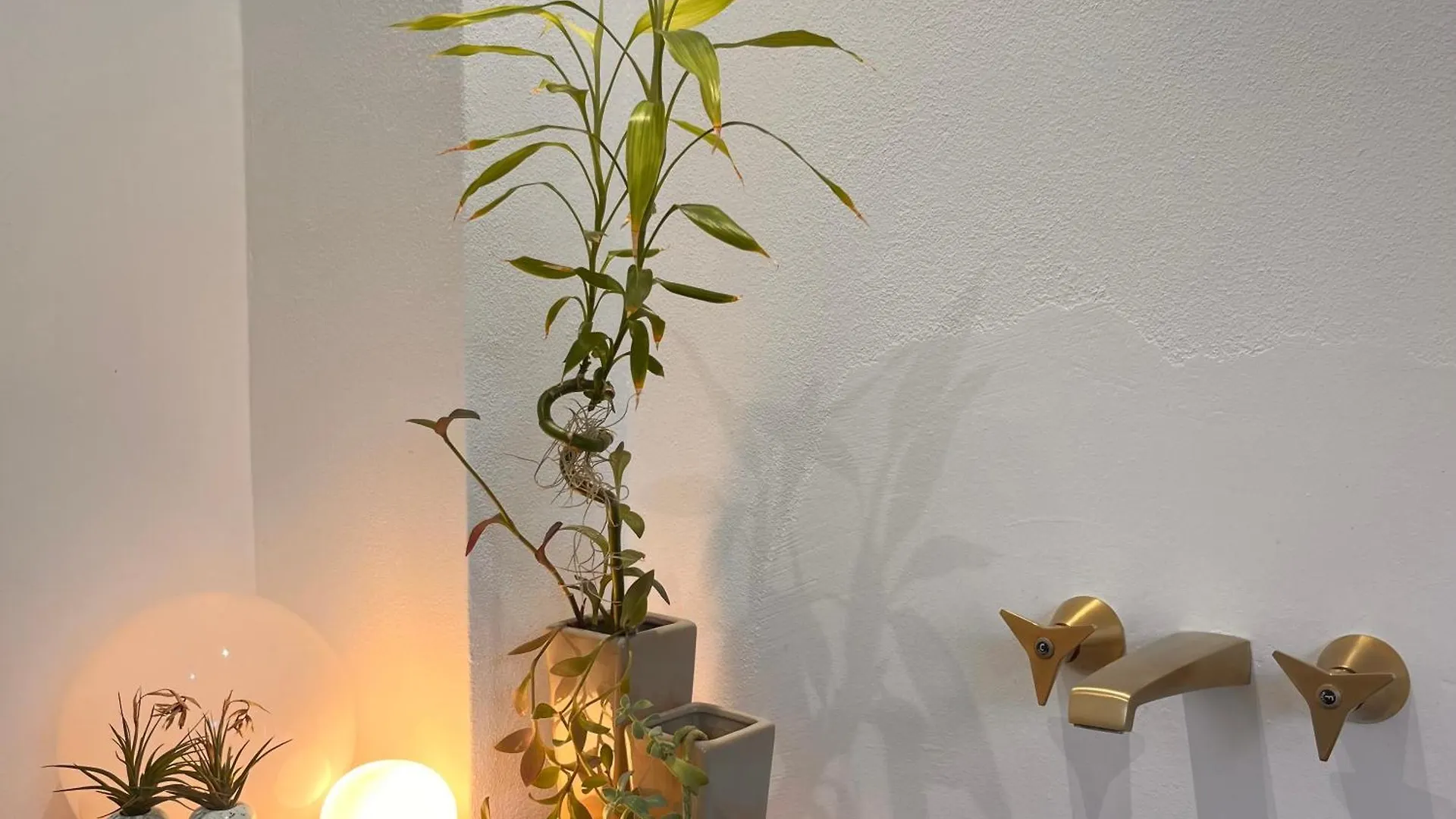 Appartamento Crocetta 67 - Penthouse Milano